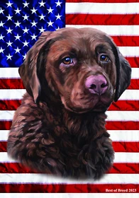 Chesapeake Bay Retriever All-American III Flag