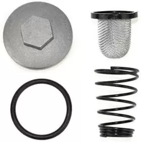 692759822851 AN RUIJIA Oil Screen Cleaner Cap Drain Plug Baja #2