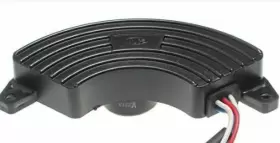 242282668541 BMP Voltage Regulator Avr Pulsar Dual Fuel