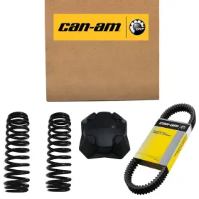 704905990 CAN-AM Utv Decal Rotax Power