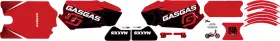 10-80-209B DCOR Stacyc Stability Cycle Graphic Brushless Kit