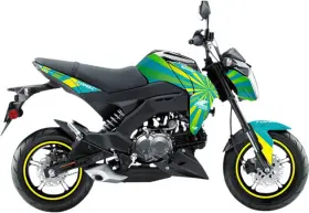 20-20-331 DCOR Pro Graphics Burst Kit Z125 Kawasaki