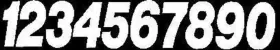 1512350 DIRT DIGITS Stick