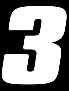 DD43W-3 DIRT DIGITS Decals Vinyls