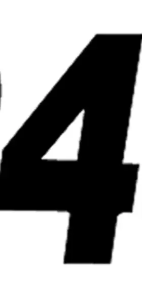 SX53B-4 DIRT DIGITS Stick