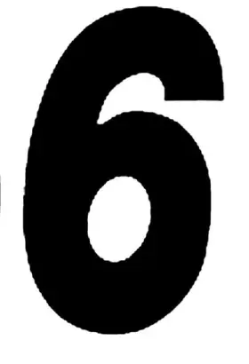 SX53B-6 DIRT DIGITS Decals Vinyls