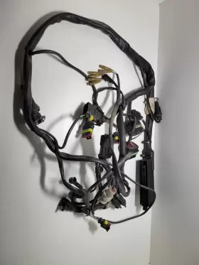 510.1.111.1B DUCATI Injection Wiring Harness #2