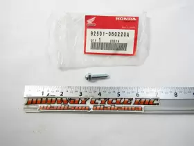92501-06022-0A HONDA Nos Footpeg Hex Cap Bolt CBR600F CBR600R