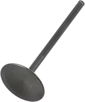 P0926-1689 KIBBLEWHITE Engine Valve Diamond