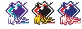 28713198 MOOSE RACING Offroad Decals