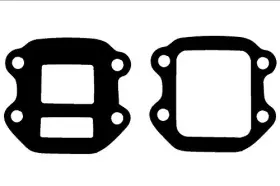 663481772783 MOTORSPORT GASKETS Intake Reed Pw Scooter PW50