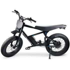 100108 STACYC Pedal Assist