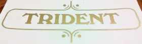44-00209 TRIUMPH Framed Trident Panel Sticker