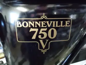 60-3953 TRIUMPH Framed Panel Sticker 750 Bonneville