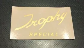 D1920 TRIUMPH Script Top Tank Toolbox Panel Sticker TR6C