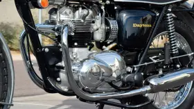 D2106 TRIUMPH Block Tank Toolbox Panel Sticker Daytona