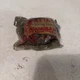 NOS Kawasaki 4th Gear Output #13135-017