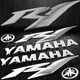 8"3D Vinyl Logo&Letter Decal+6"Fairing Body Sticker YZF-R1/R1S/R1M Chrome Silver