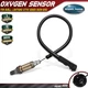 Rear O2 Oxygen Sensor for Buell Lightning CityX XB9SX XB12Scg Lightning 09-10
