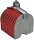 Hiflofiltro HFA1204 Premium OE Replacement Air Filter 