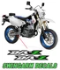 Green Swingarm Decals Sticker graphics Fit Suzuki Drz 400 drz400e DRZ400 Drz400s