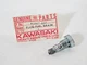 NOS KAWASAKI Fuel Drain Plug F7 F5 Bison