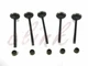 NEW YAMAHA RHINO 660 ENGINE INLET AND EXHAUST VALVE SET KIT WITH SEAL 2004-2007