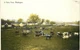 Vintage Postcard Dairy Farm In Eastern WA Cattle Grazing A358