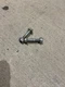 2018 17-20 Honda Grom 125 OEM Rear Shock Mounting Bolts