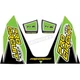 Pro Circuit Green Ti-6 Exhaust Decals - DC22TI6-GRN