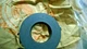 Honda C72 C77 CA72 CA77 CB72 CB77 CP77 RH Crankshaft Oil Seal NOS 91201-259-000