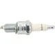 Champion Spark Plug - RN12YC - Each CCH-404