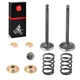 Intake Exhaust Valve & Seal SPRING Kit For Yamaha Golf Cart G2 G5 G8 G9 G11 G14 