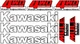 #B4588 Kawasaki Mule 4010 Fuel Injection Decal Sticker Kit LAMINATED