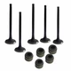 YAMAHA RHINO 660 ENGINE INLET & EXHAUST VALVE SET KIT WITH SEAL 2004-2007 NEW