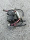 Regulator Rectifier for Honda CX500 CX500C Custom 1979 - Starter Solenoid Ect