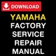 Yamaha FZ-07 FZ07  2014 2015 2016 2017 FACTORY SERVICE REPAIR MANUAL