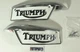 Gas Tank Badges, 1969 Triumph T120/T140 (82-9700, 82-9701)