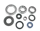 Yamaha YFM450FX Wolverine 4x4 ATV Rear Differential Bearing Kit 2006-2010