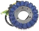 Electrosport Stator Kawasaki Eliminator 250 1988-94, Ninja 250 1988-12 [ESG111]
