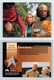 The Survivors #238 Star Trek Next Generation Season 3 Skybox 1995 Card