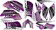 YAMAHA RAPTOR 660R full graphics kit 2001 2005..THICK AND HIGH GLOSS