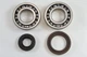 Suzuki RM250 81 Main Bearing Kit 09262-30066 09283-20034 09289-36003