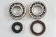 Suzuki RM250 81 Main Bearing Kit 09262-30066 09283-20034 09289-36003