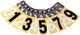 Factory Effex Mini Pro Number