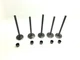 STD Intake Exhaust Valves And Stem Seals Fit Yamaha Rhino Raptor660 Grizzly 660