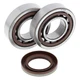 All Balls Crank Bearing and Seal Kit For KTM SX 525 03-06 / SXS 450 03-04