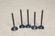 Yamaha Raptor Grizzly 660  Rhino Kibblewhite  Valves Stainless