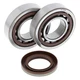 All Balls Crank Bearing and Seal Kit For KTM SX 525 03-06 / SXS 450 03-04 NEW