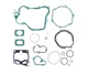 Athena Complete Gasket Kit w/o Oil Seals (P400485850116)